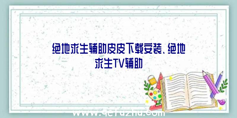 绝地求生辅助皮皮下载安装、绝地求生TV辅助