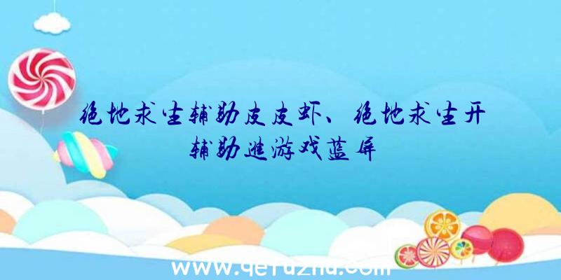 绝地求生辅助皮皮虾、绝地求生开辅助进游戏蓝屏