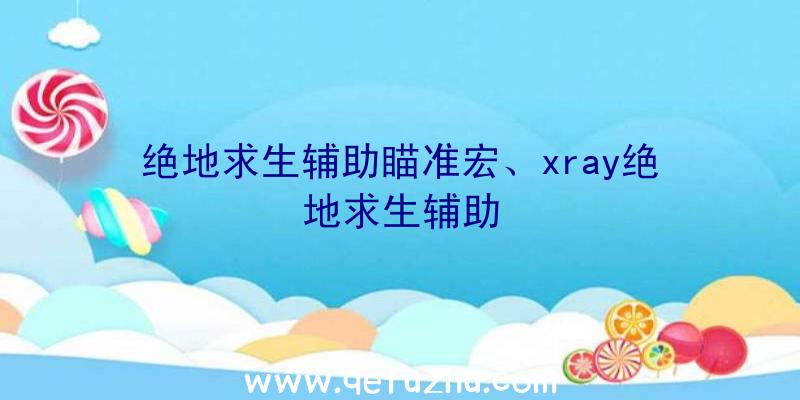 绝地求生辅助瞄准宏、xray绝地求生辅助