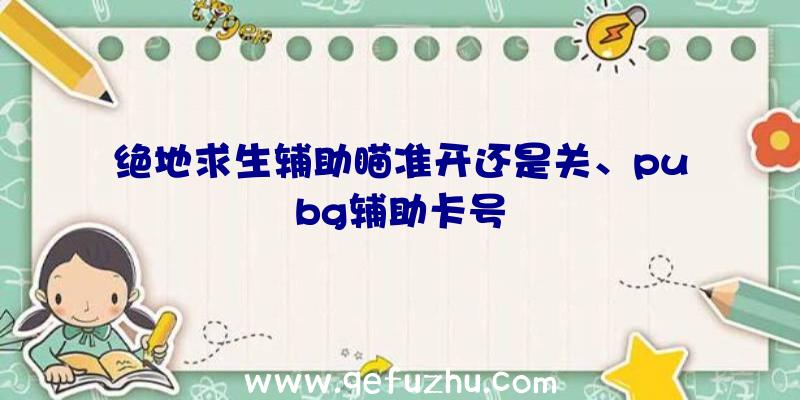 绝地求生辅助瞄准开还是关、pubg辅助卡号