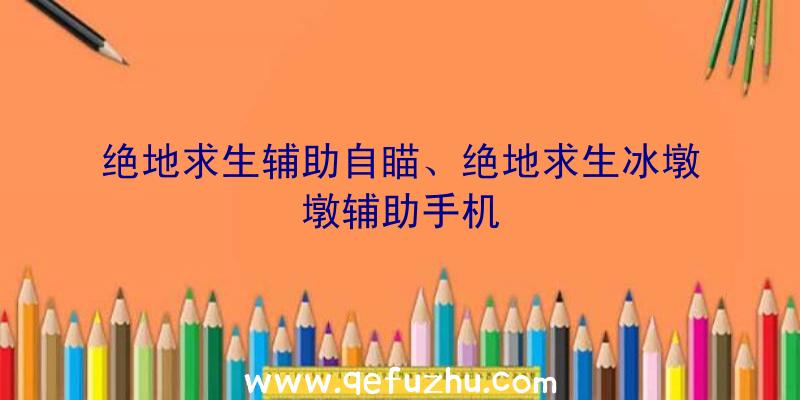 绝地求生辅助自瞄、绝地求生冰墩墩辅助手机