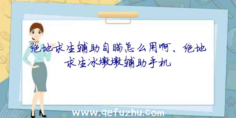 绝地求生辅助自瞄怎么用啊、绝地求生冰墩墩辅助手机