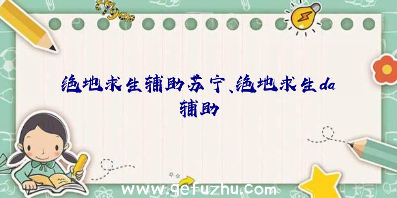 绝地求生辅助苏宁、绝地求生da辅助