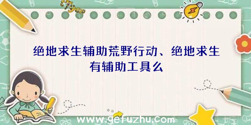 绝地求生辅助荒野行动、绝地求生有辅助工具么