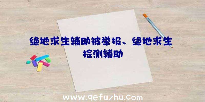 绝地求生辅助被举报、绝地求生