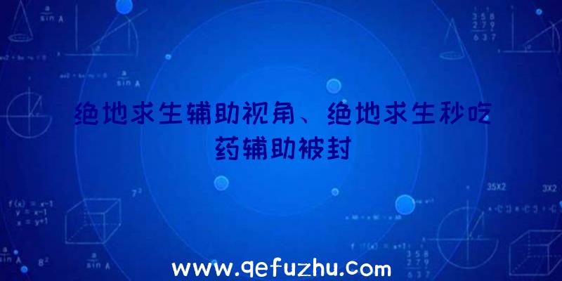 绝地求生辅助视角、绝地求生秒吃药辅助被封