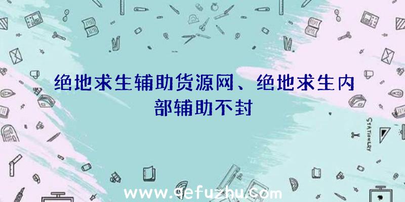 绝地求生辅助货源网、绝地求生内部辅助不封