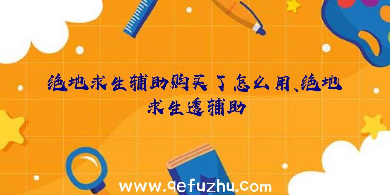 绝地求生辅助购买了怎么用、绝地求生透辅助