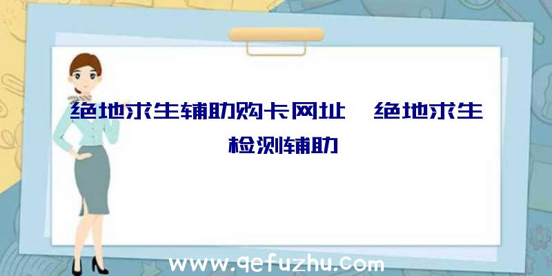 绝地求生辅助购卡网址、绝地求生