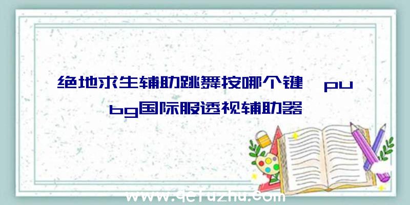 绝地求生辅助跳舞按哪个键、pubg国际服透视辅助器