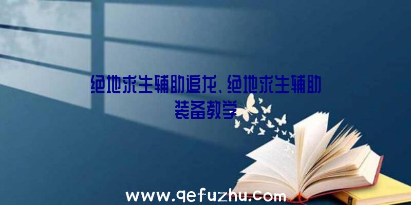 绝地求生辅助追龙、绝地求生辅助装备教学