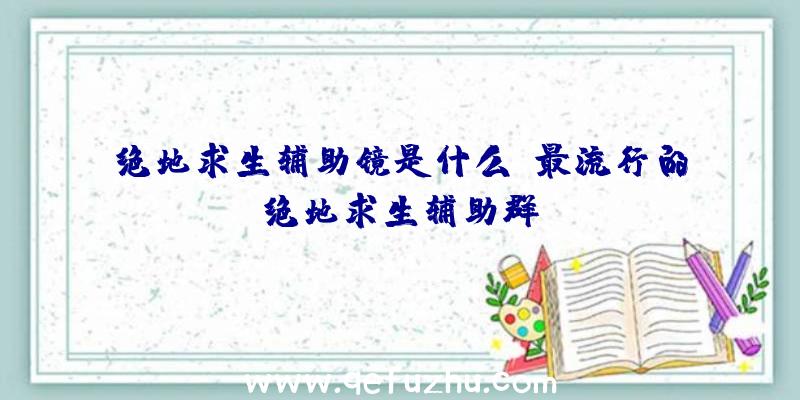 绝地求生辅助镜是什么、最流行的绝地求生辅助群