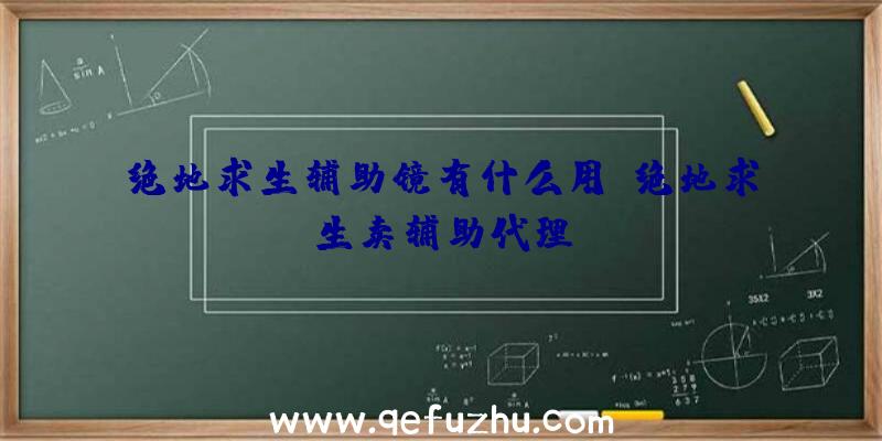 绝地求生辅助镜有什么用、绝地求生卖辅助代理