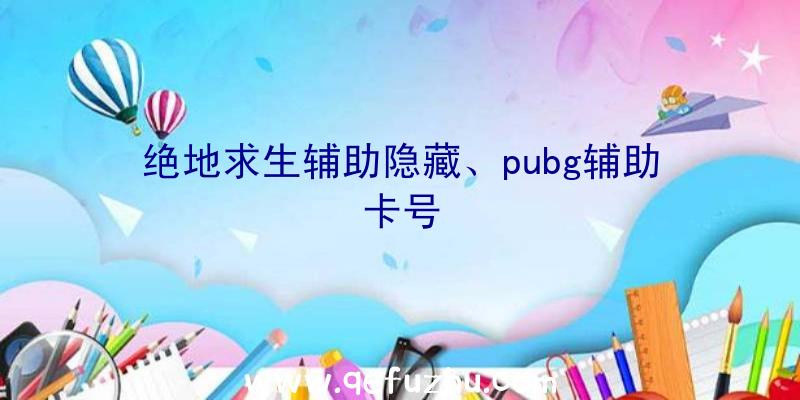 绝地求生辅助隐藏、pubg辅助卡号