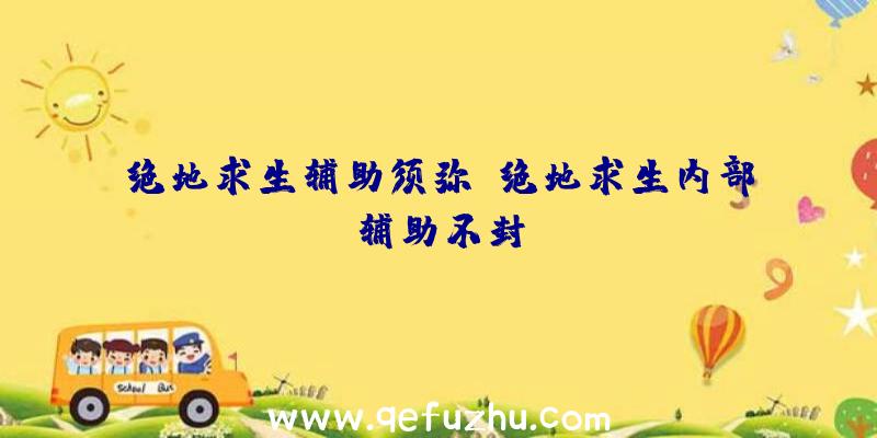 绝地求生辅助须弥、绝地求生内部辅助不封