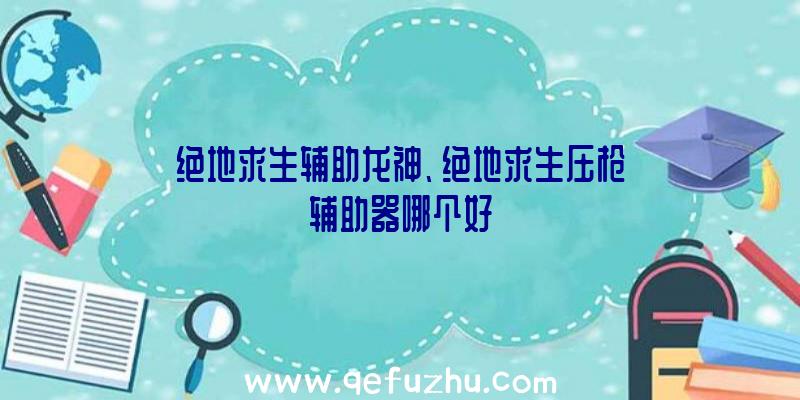 绝地求生辅助龙神、绝地求生压枪辅助器哪个好