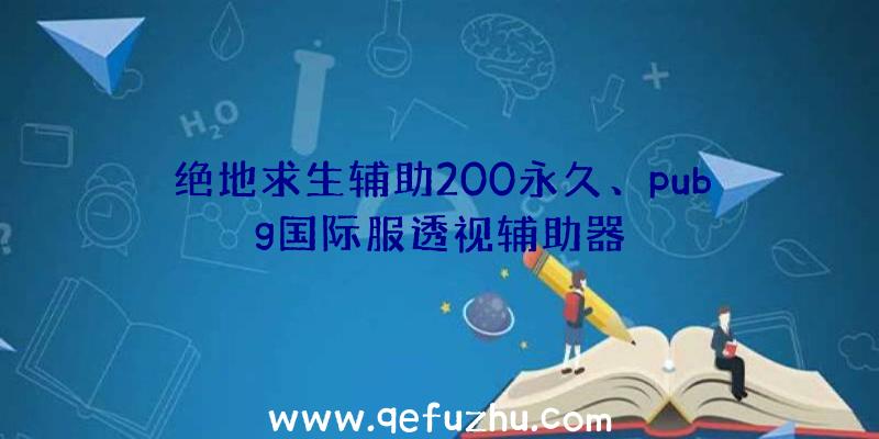 绝地求生辅助200永久、pubg国际服透视辅助器