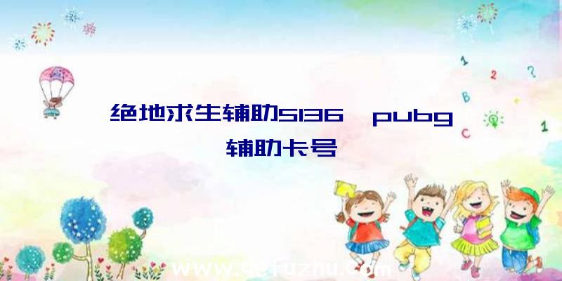 绝地求生辅助5136、pubg辅助卡号