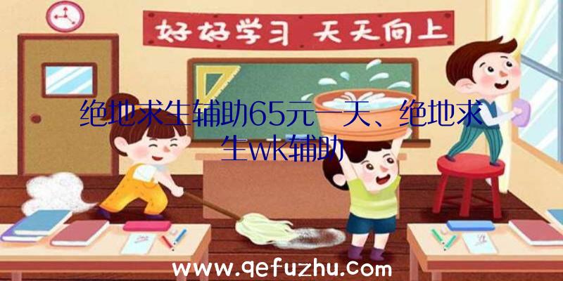 绝地求生辅助65元一天、绝地求生wk辅助