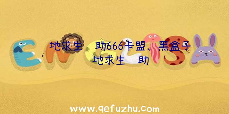 绝地求生辅助666卡盟、黑盒子绝地求生辅助