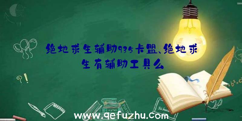 绝地求生辅助935卡盟、绝地求生有辅助工具么