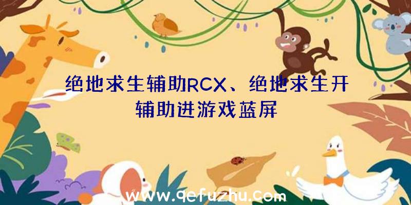 绝地求生辅助RCX、绝地求生开辅助进游戏蓝屏