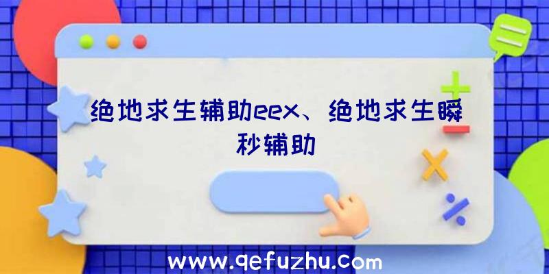 绝地求生辅助eex、绝地求生瞬秒辅助