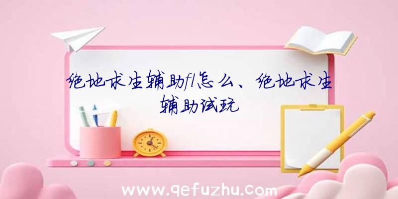 绝地求生辅助fl怎么、绝地求生辅助试玩