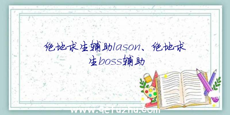 绝地求生辅助lason、绝地求生boss辅助