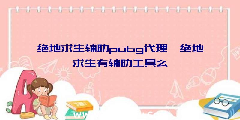 绝地求生辅助pubg代理、绝地求生有辅助工具么