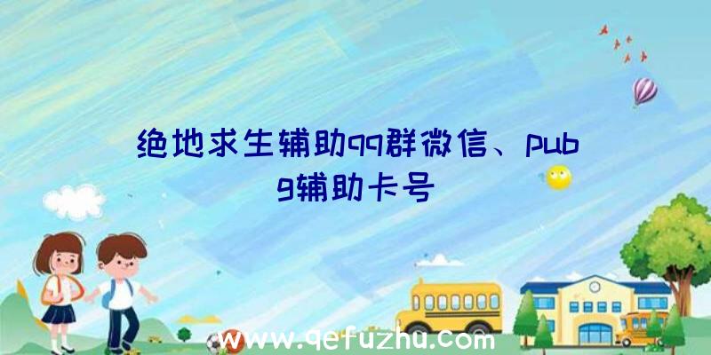 绝地求生辅助qq群微信、pubg辅助卡号