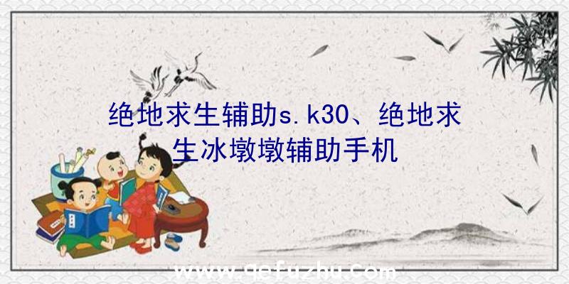 绝地求生辅助s.k30、绝地求生冰墩墩辅助手机