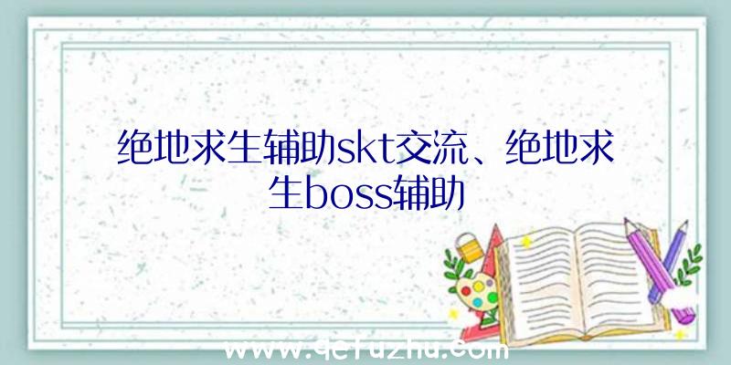 绝地求生辅助skt交流、绝地求生boss辅助