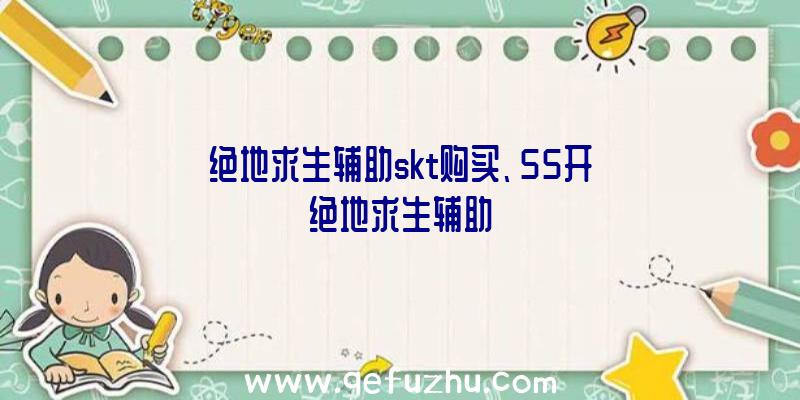 绝地求生辅助skt购买、55开绝地求生辅助