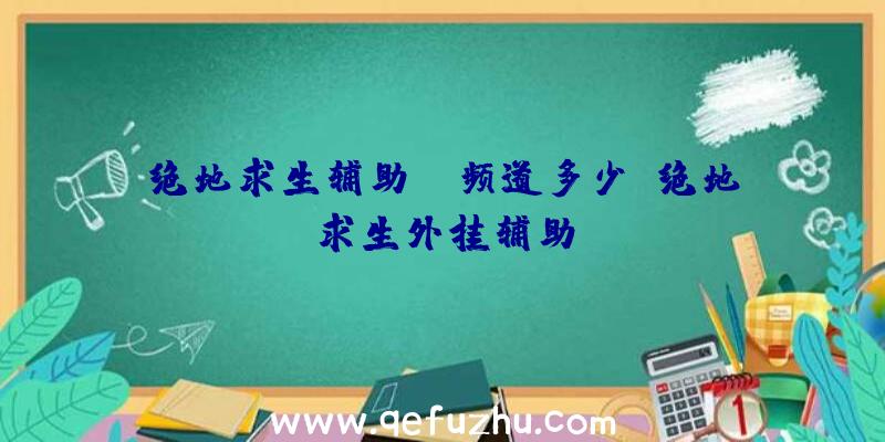 绝地求生辅助yy频道多少、绝地求生外挂辅助