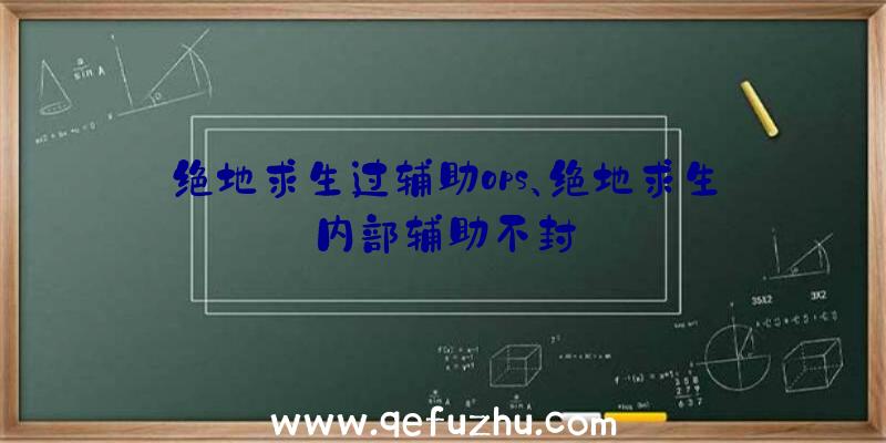 绝地求生过辅助ops、绝地求生内部辅助不封