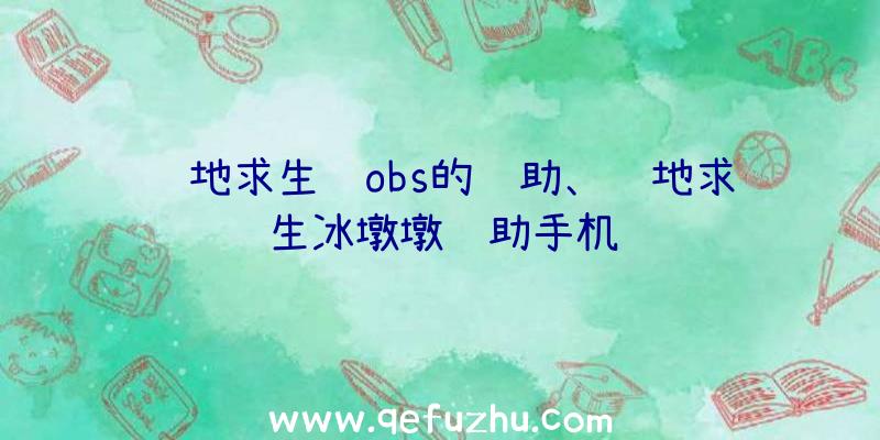 绝地求生过obs的辅助、绝地求生冰墩墩辅助手机