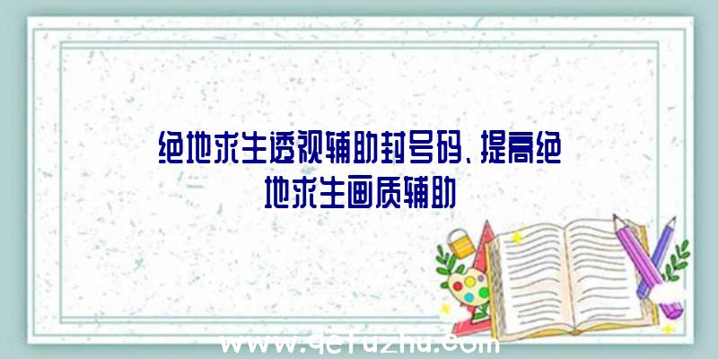 绝地求生透视辅助封号码、提高绝地求生画质辅助