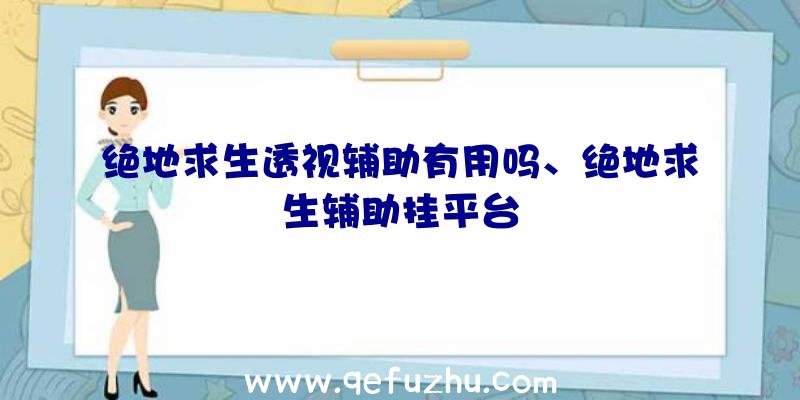 绝地求生透视辅助有用吗、绝地求生辅助挂平台