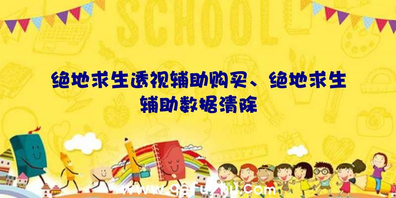 绝地求生透视辅助购买、绝地求生辅助数据清除