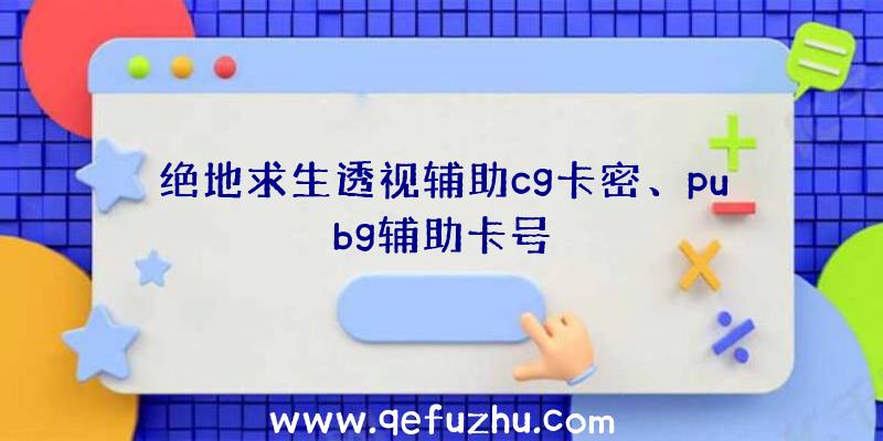 绝地求生透视辅助cg卡密、pubg辅助卡号