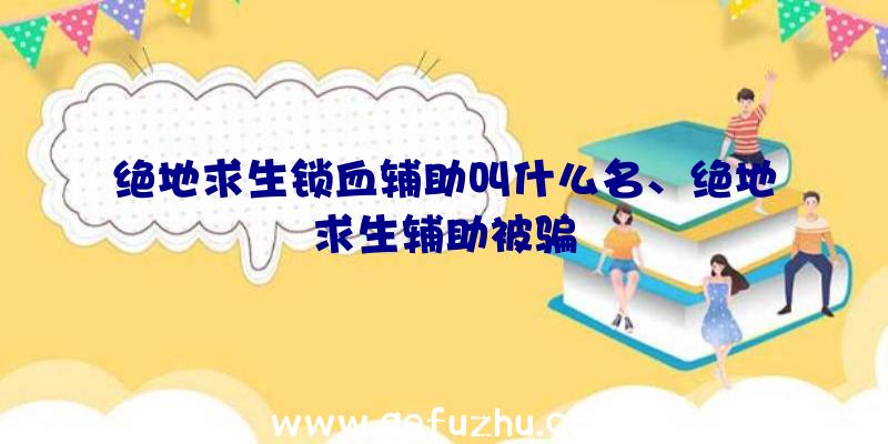 绝地求生锁血辅助叫什么名、绝地求生辅助被骗