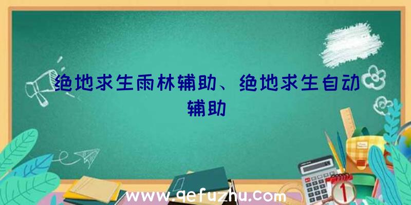 绝地求生雨林辅助、绝地求生自动辅助