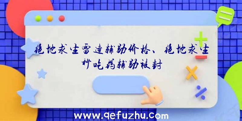 绝地求生雷达辅助价格、绝地求生秒吃药辅助被封