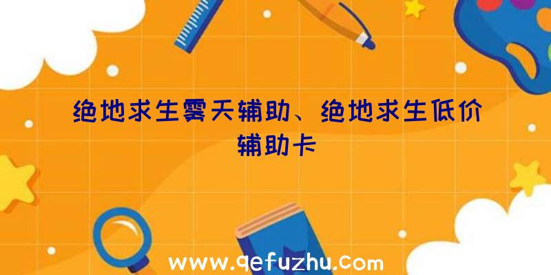 绝地求生雾天辅助、绝地求生低价辅助卡