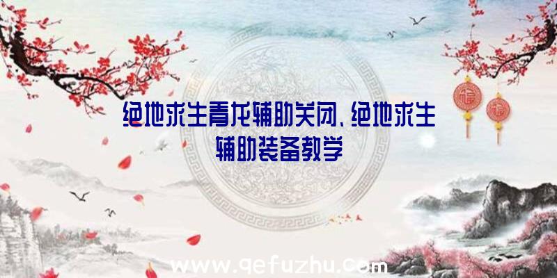 绝地求生青龙辅助关闭、绝地求生辅助装备教学