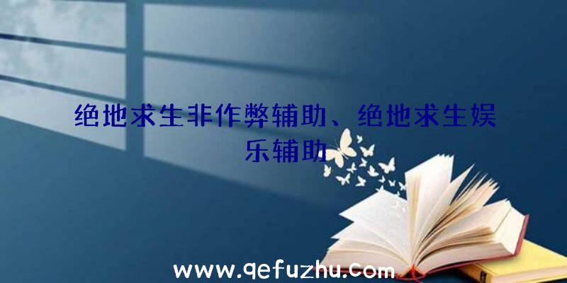 绝地求生非作弊辅助、绝地求生娱乐辅助