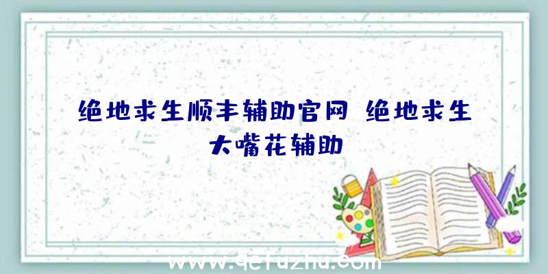 绝地求生顺丰辅助官网、绝地求生大嘴花辅助