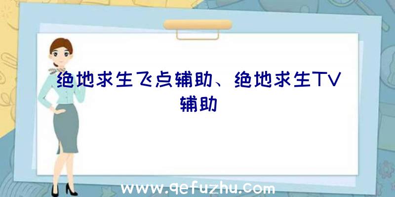 绝地求生飞点辅助、绝地求生TV辅助