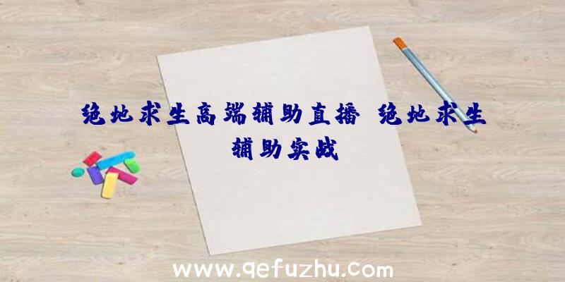 绝地求生高端辅助直播、绝地求生辅助实战